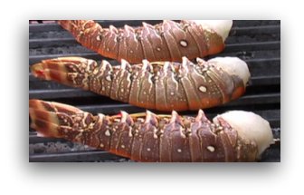 Lobster Tails on the Grill