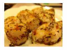 Grilled Scallops